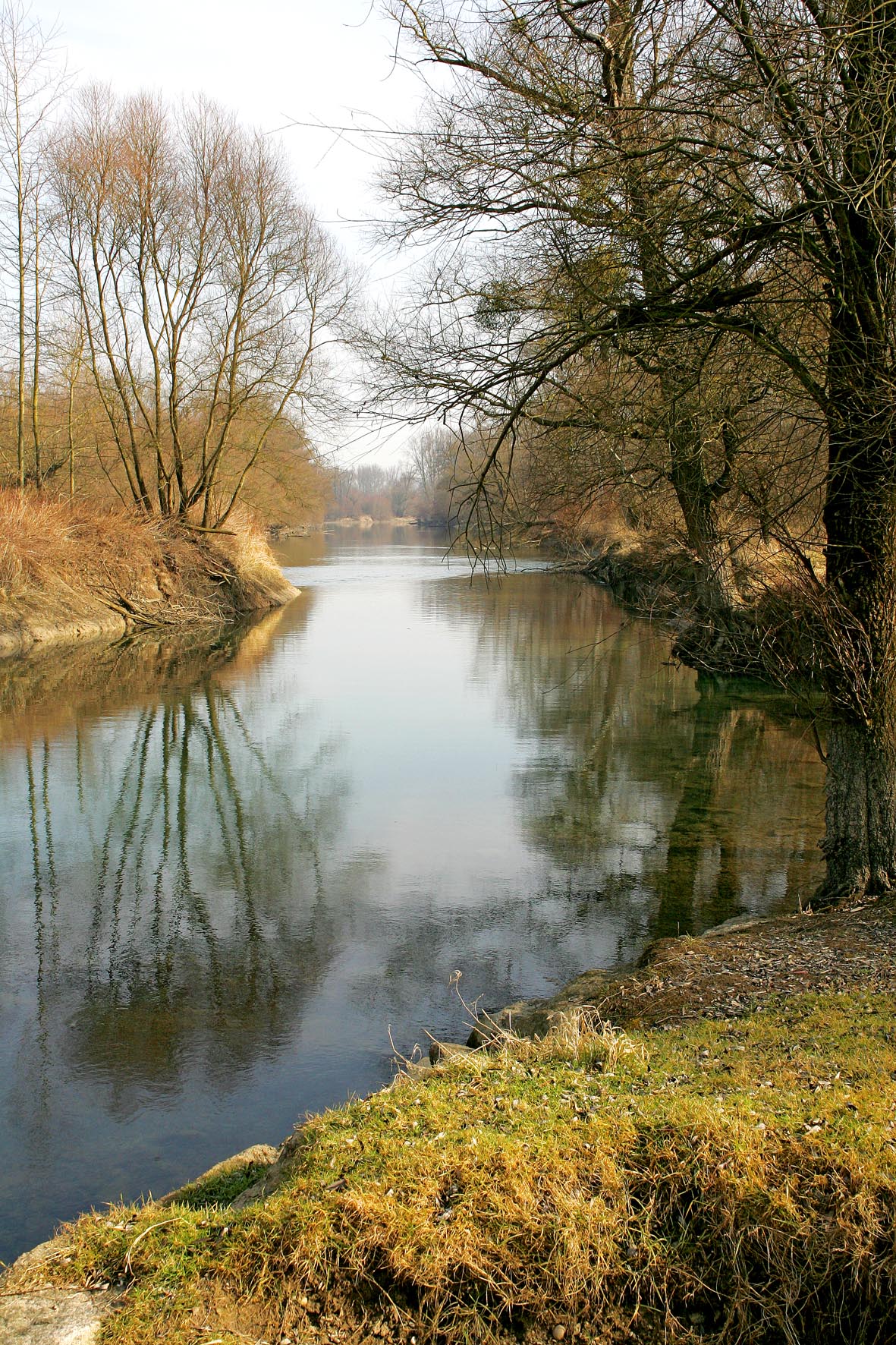 Au am Rhein  Detailseite  LEOBW