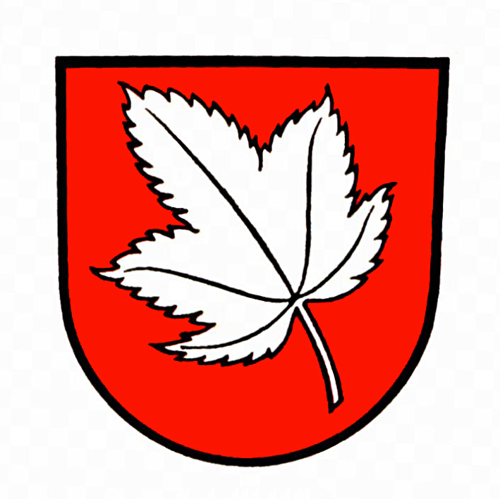 Wappen von Ahorn