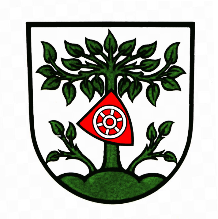 Wappen von Buchen (Odenwald)
